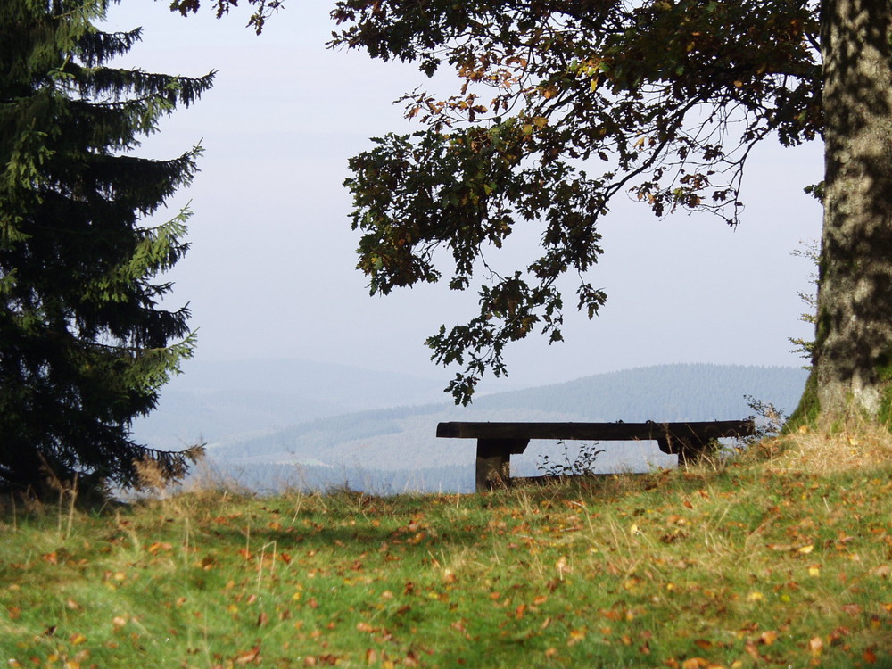 Der Blick ins Siegerland...