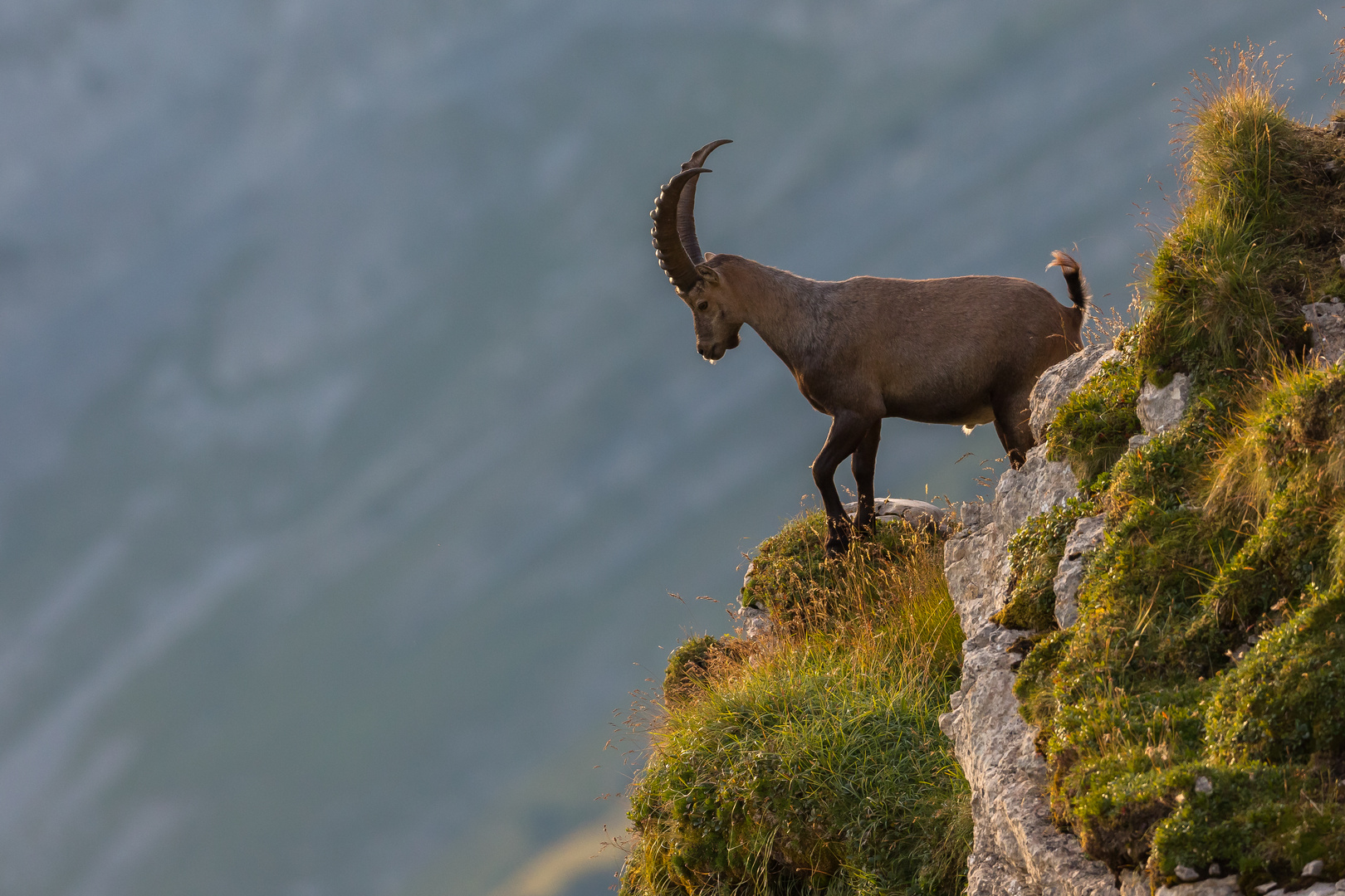 Der Blick ins Tal