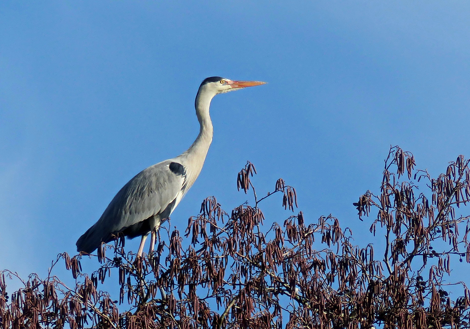 Der Blick ins Wochenende 