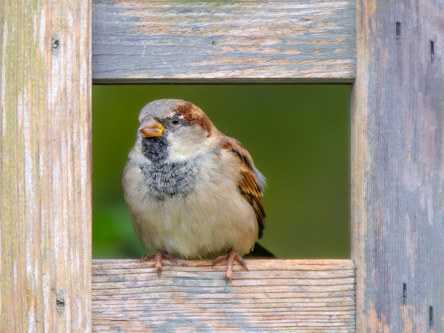 Der Blick ins Wochenende. 