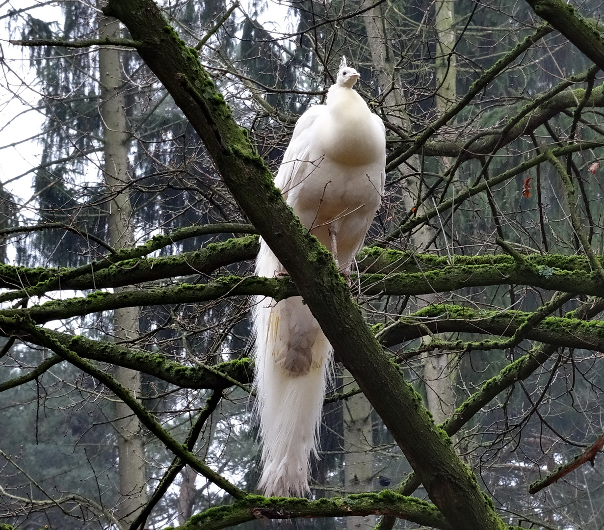 Der Blick ins Wochenende 