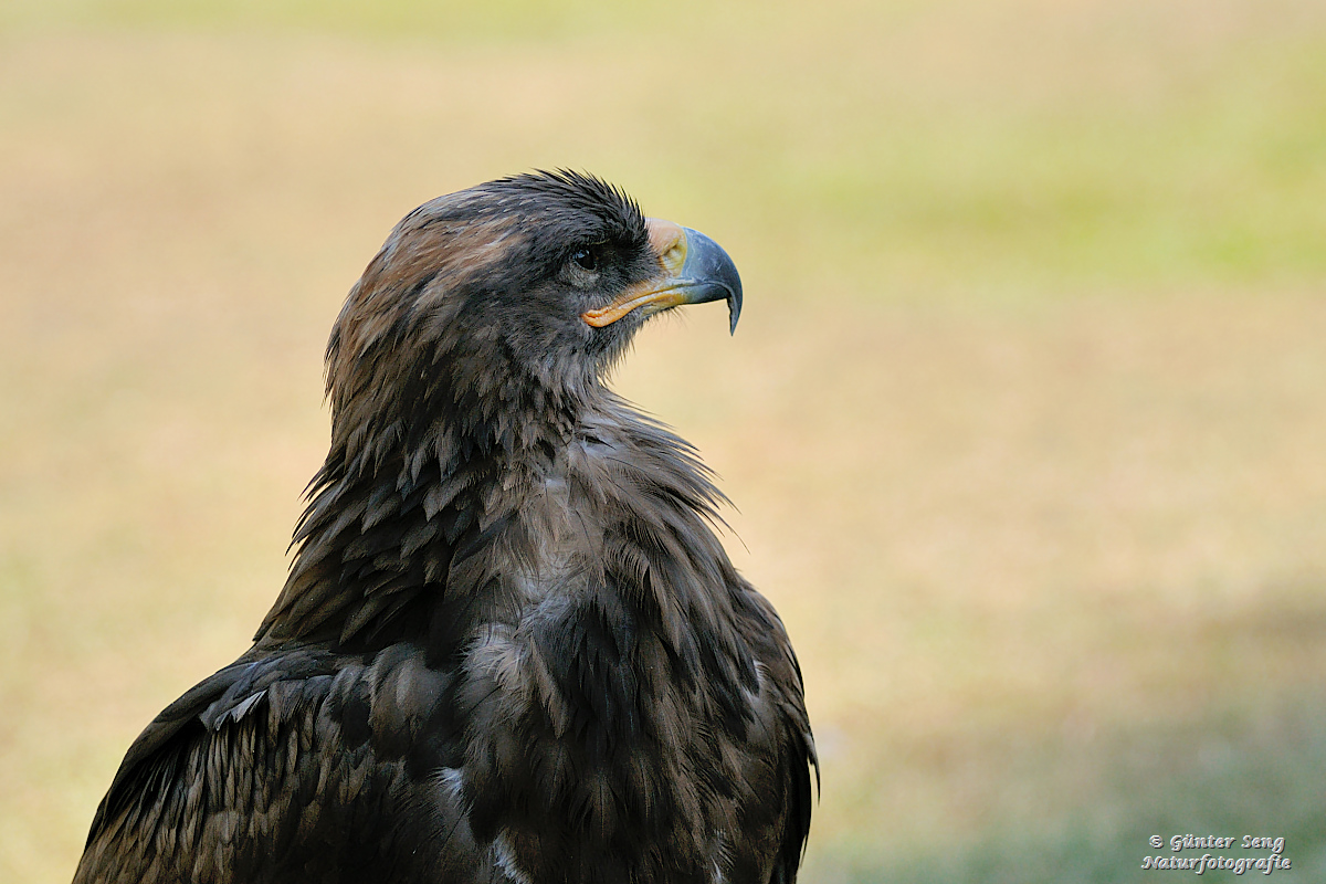 Der Blick ist atemberaubend 