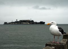 Der Blick nach Alcatraz