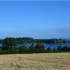 Der Blick nach Mainau