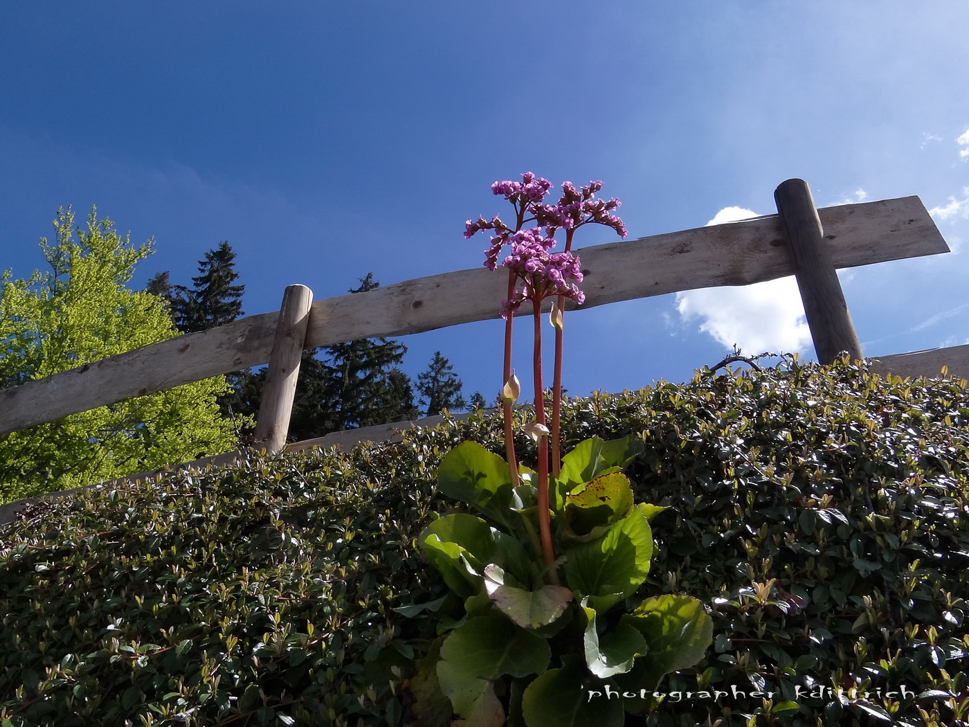 Der Blick nach oben...