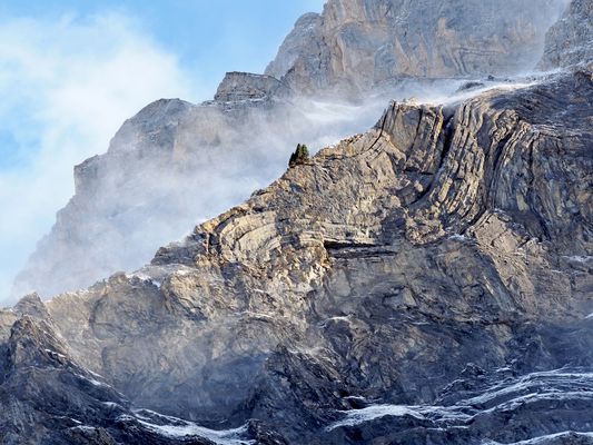 Der Blick nach oben ...