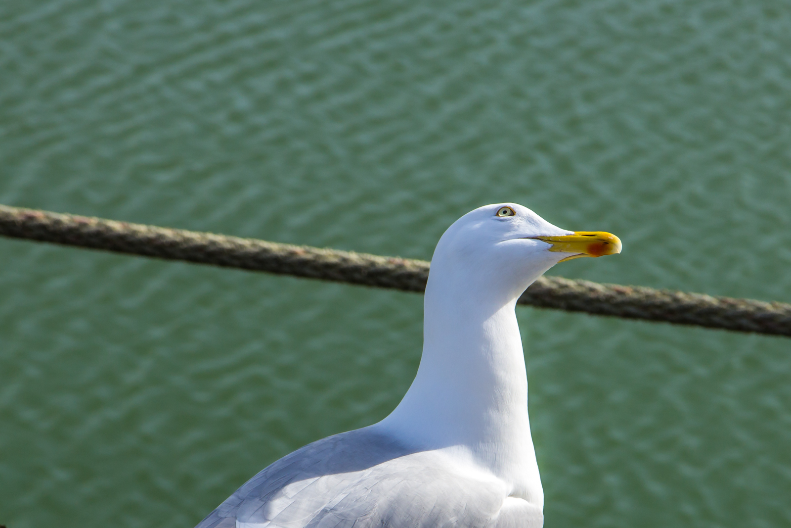 Der Blick nach oben!