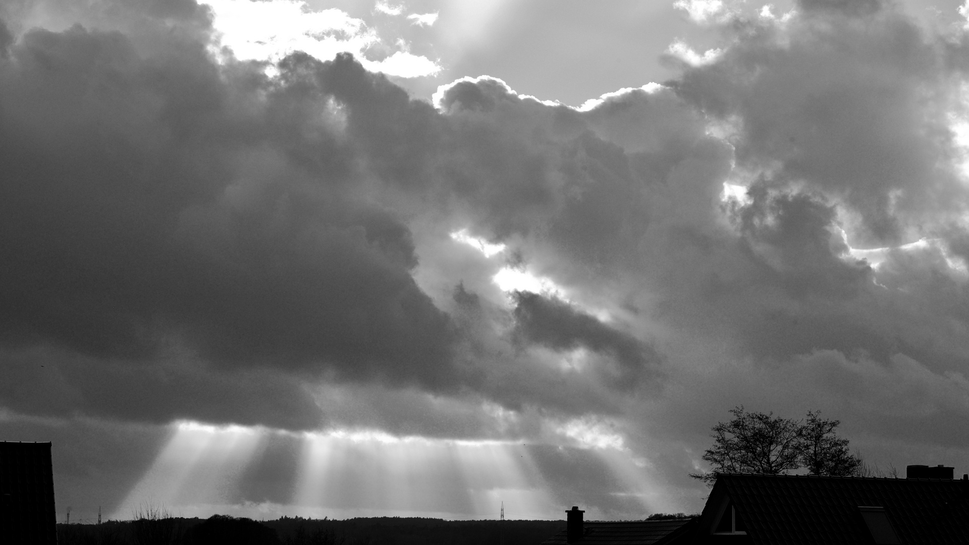 der Blick nach oben - Aprilwetter im Januar