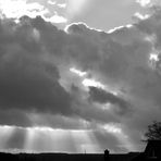 der Blick nach oben - Aprilwetter im Januar