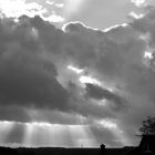 der Blick nach oben - Aprilwetter im Januar