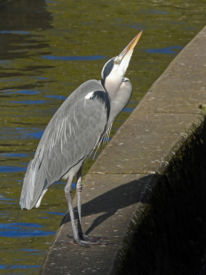 Der Blick nach oben