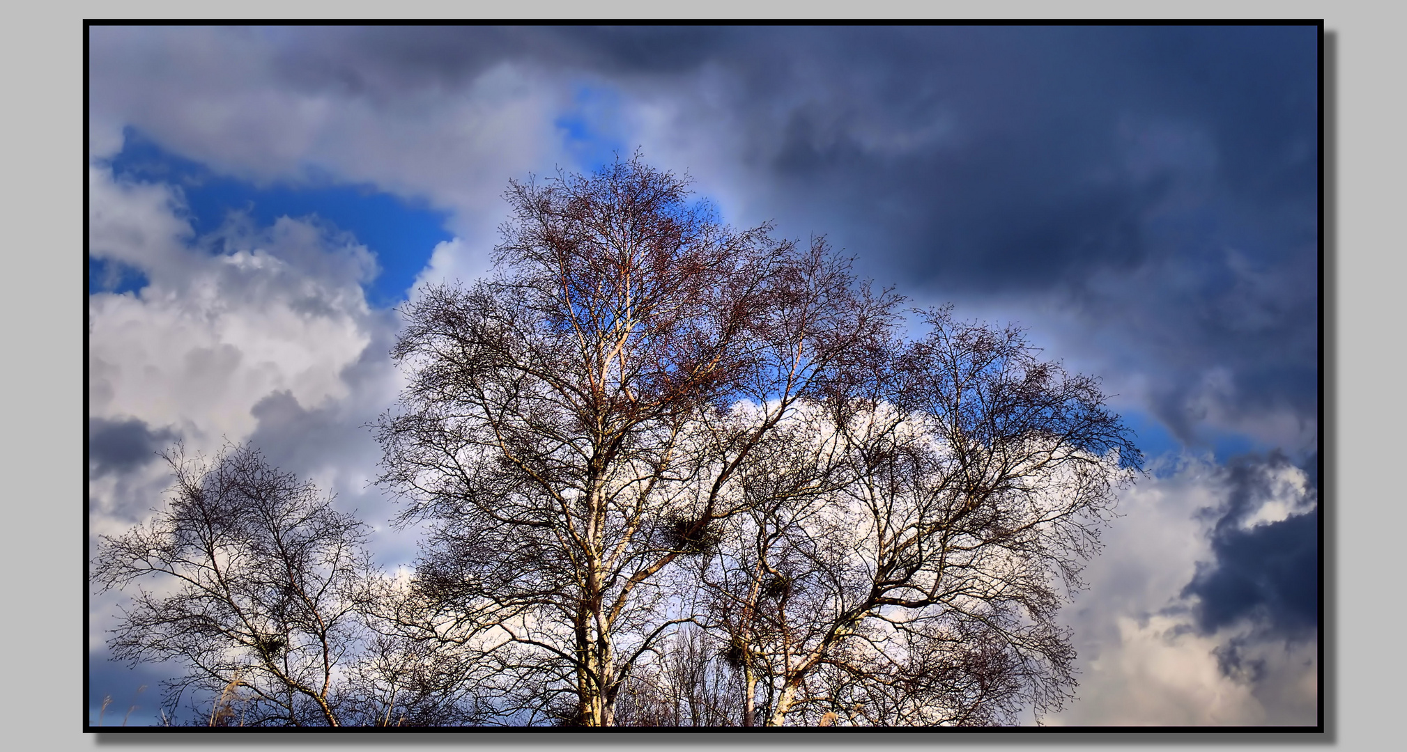 Der Blick nach oben