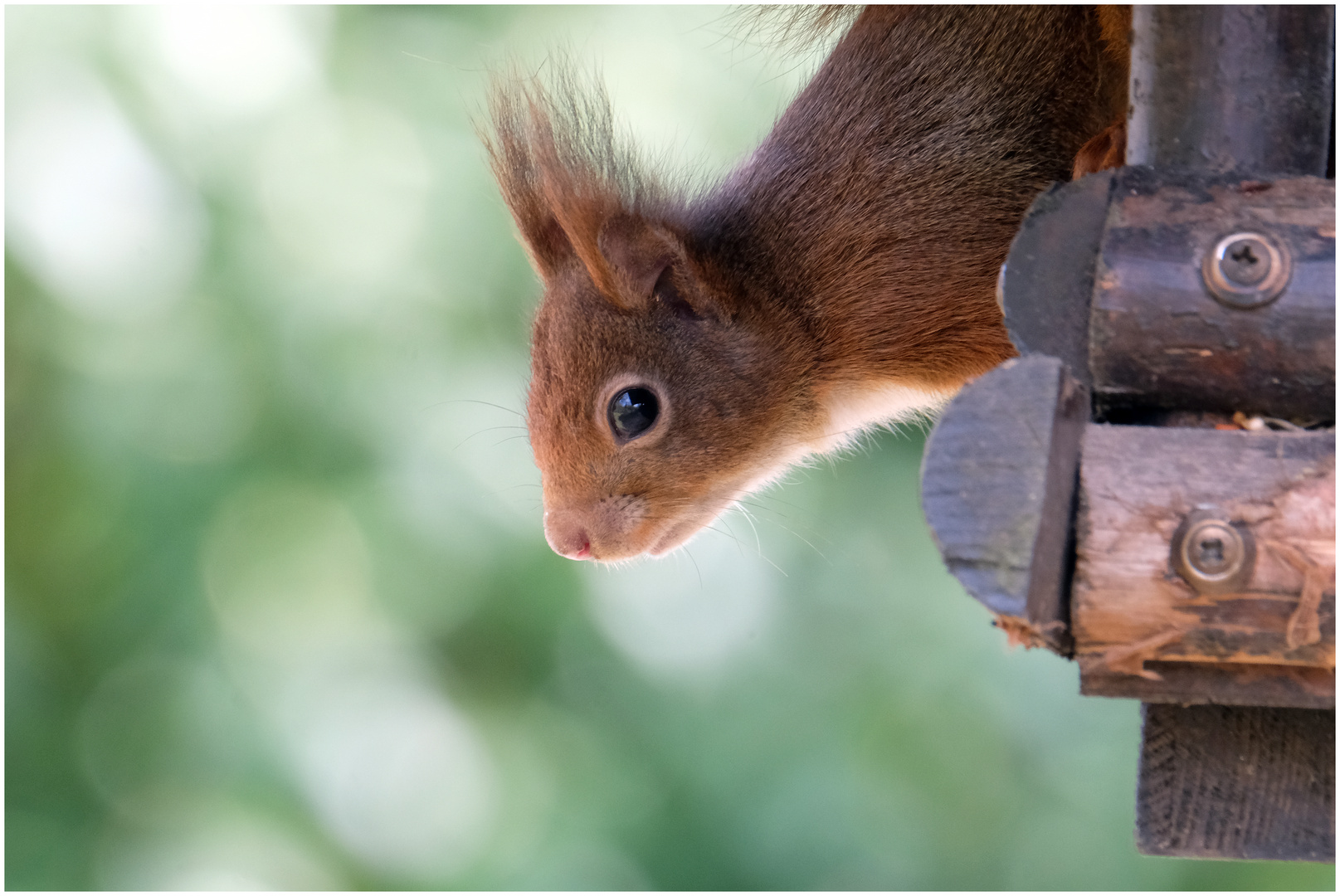 der Blick nach unten