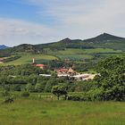 Der Blick nach Vlastislav fast zugewachsen im Böhmischen Mittelgebirge...