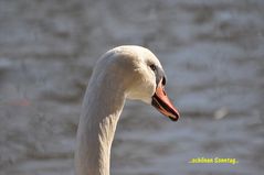 ..Der Blick nach vorn..