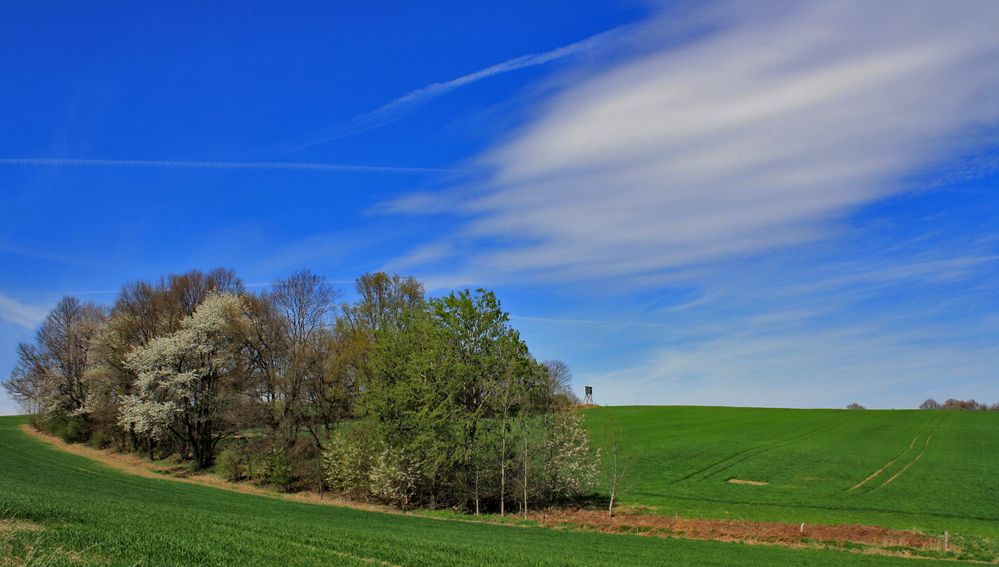 der blick nach vorn