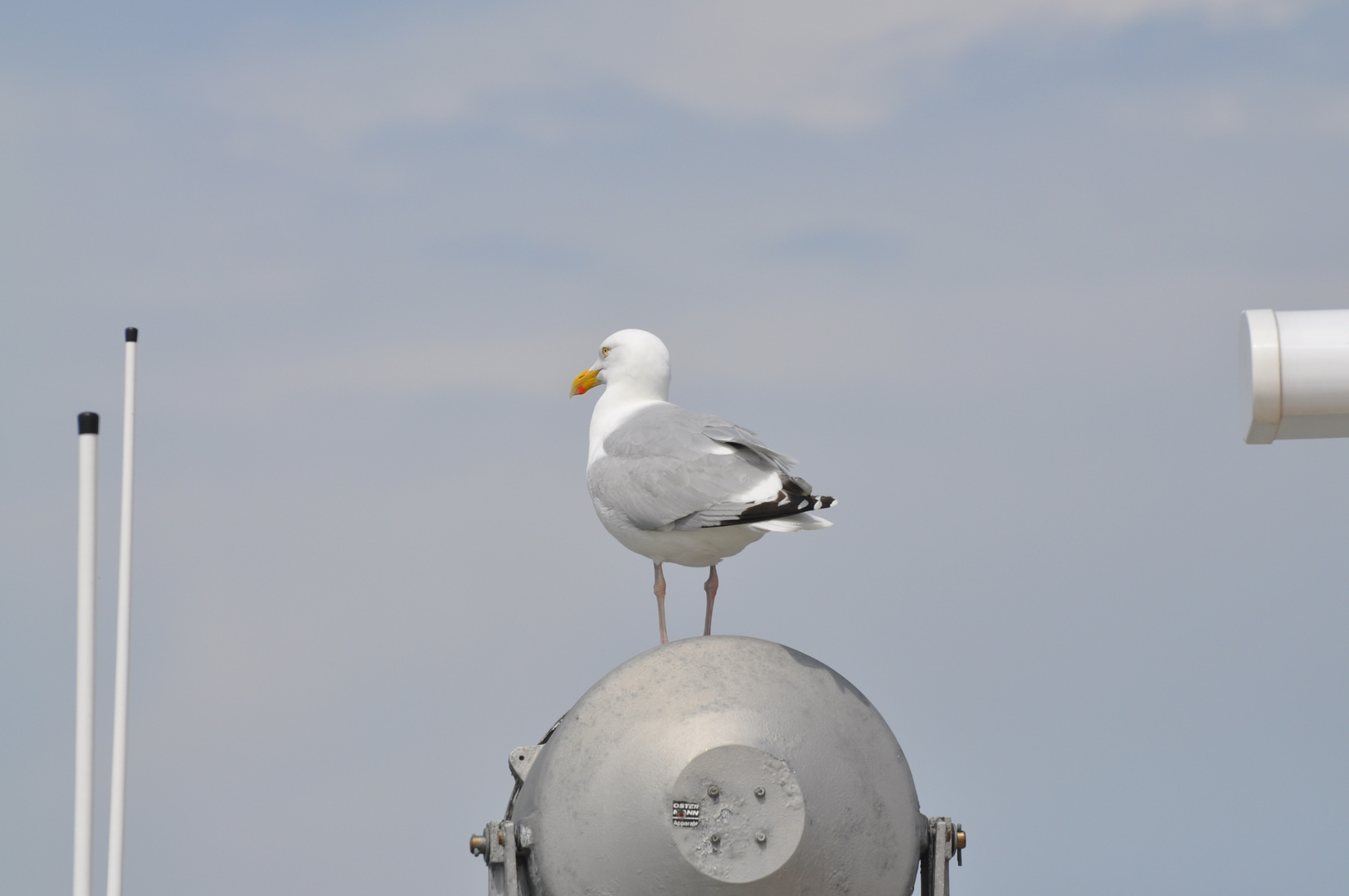 Der Blick nach vorne