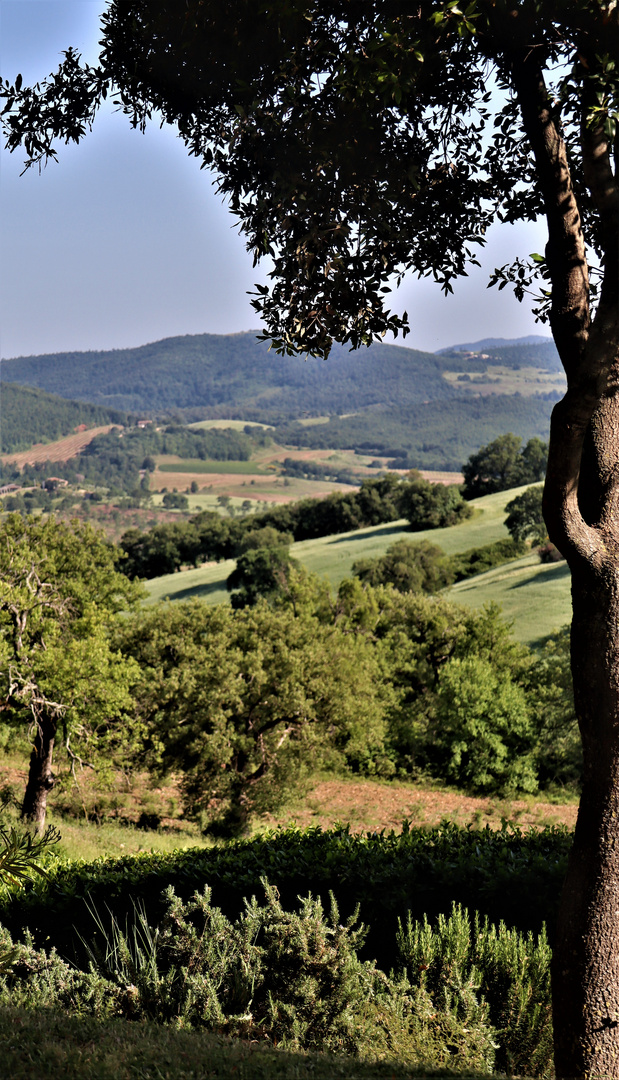 der Blick ruht auf den fruchtbaren Hügeln der Toscana