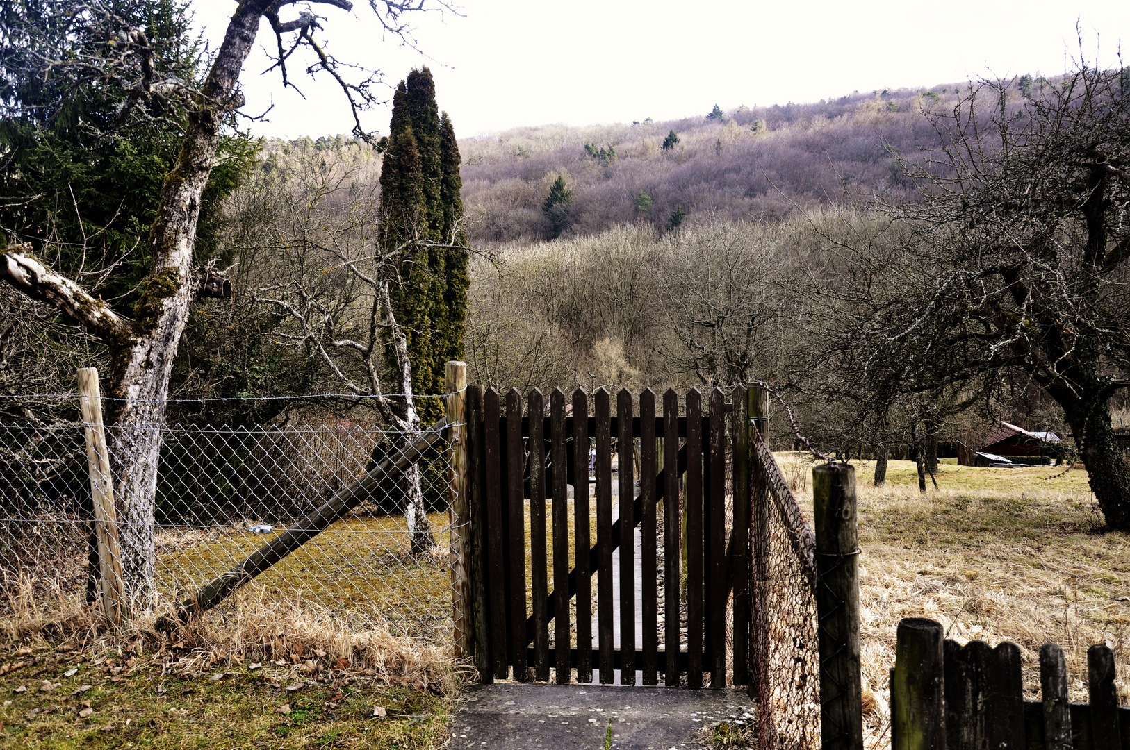 der Blick schweift in die Ferne