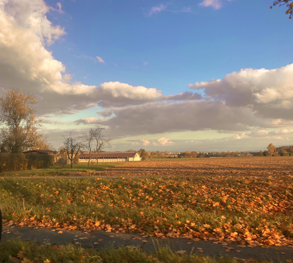 Der Blick schweift über s herbstliche Land