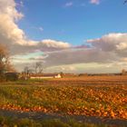 Der Blick schweift über s herbstliche Land