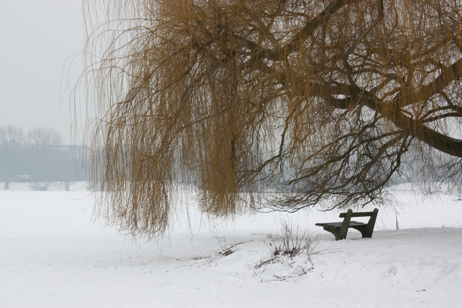 Der Blick, so leer