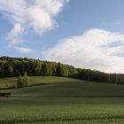 Der Blick über das Feld