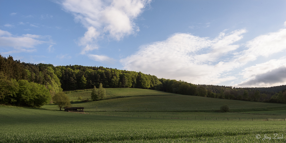 Der Blick über das Feld