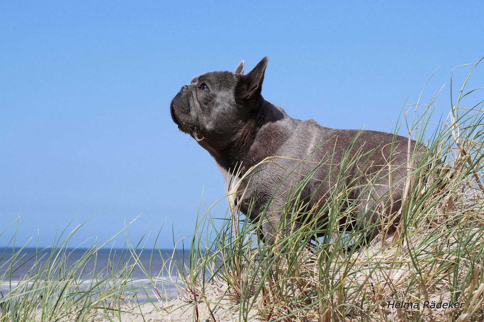 Der Blick über das Meer