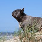 Der Blick über das Meer