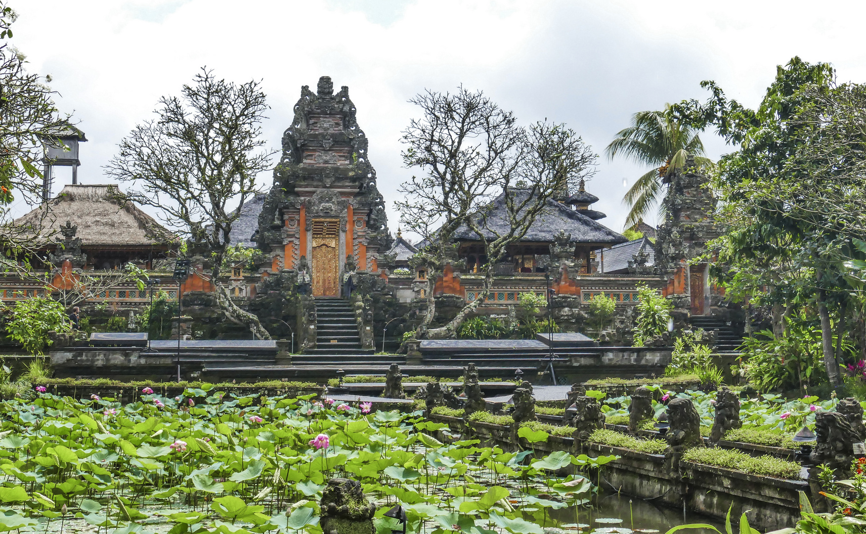 ...der Blick über den Lotus Teich... Foto & Bild asia, indonesia