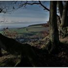 Der Blick über den Rheingau (IV)