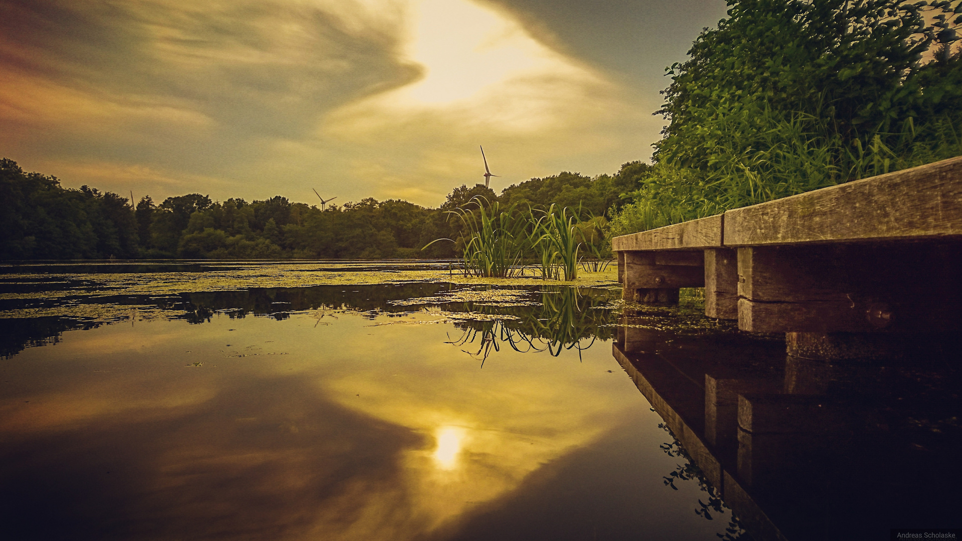 Der Blick über den Teich