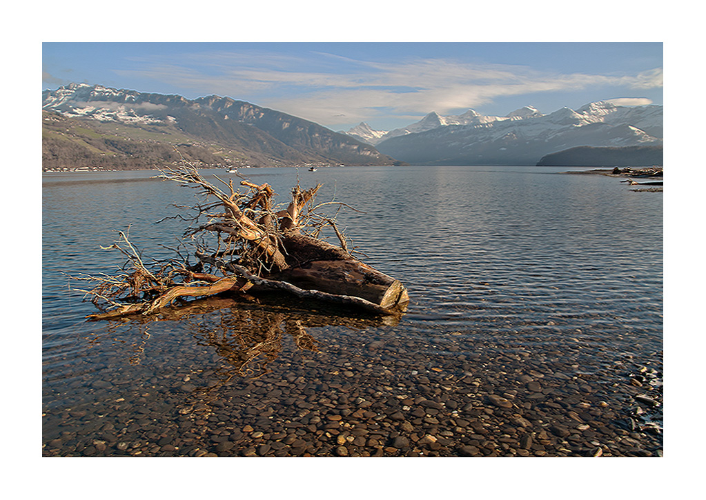 Der Blick über den Thunersee