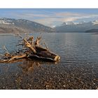 Der Blick über den Thunersee