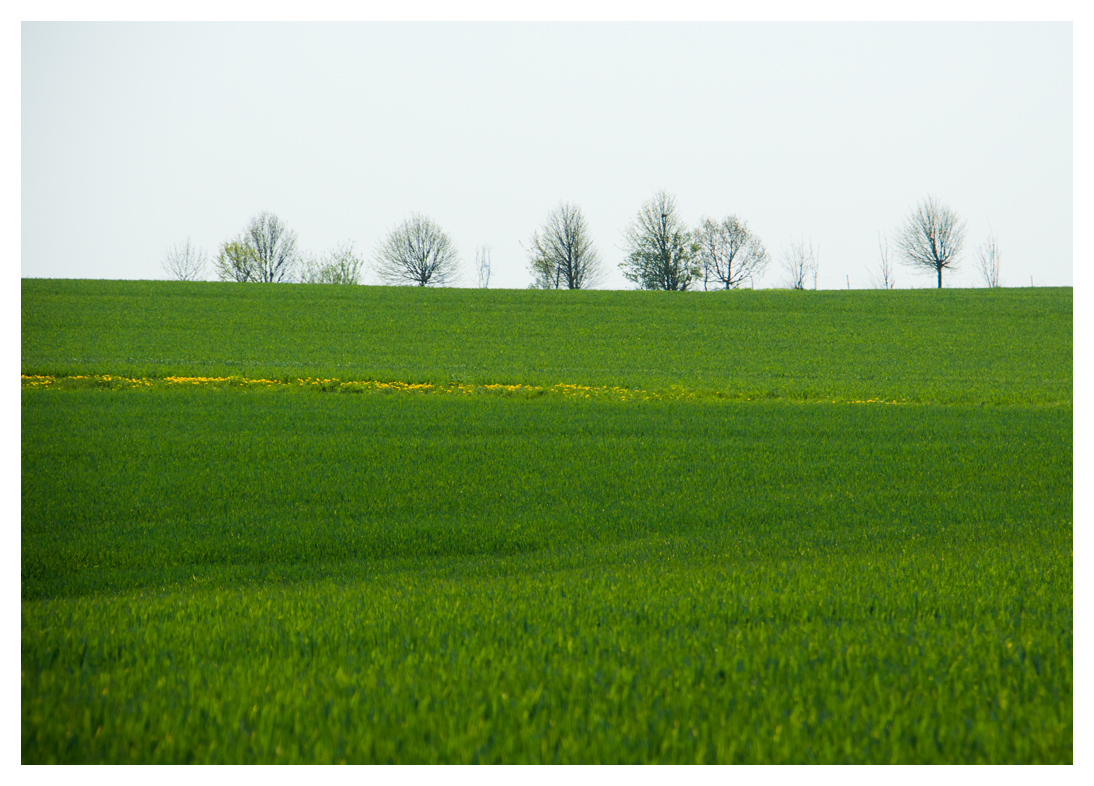 der Blick über die Felder