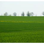 der Blick über die Felder