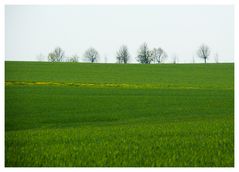 der Blick über die Felder