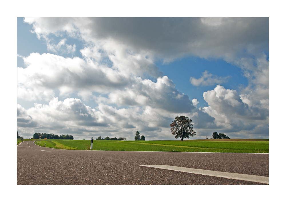 Der Blick über die Landstraße