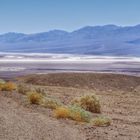 Der Blick über die weite Ebene. Death Valley