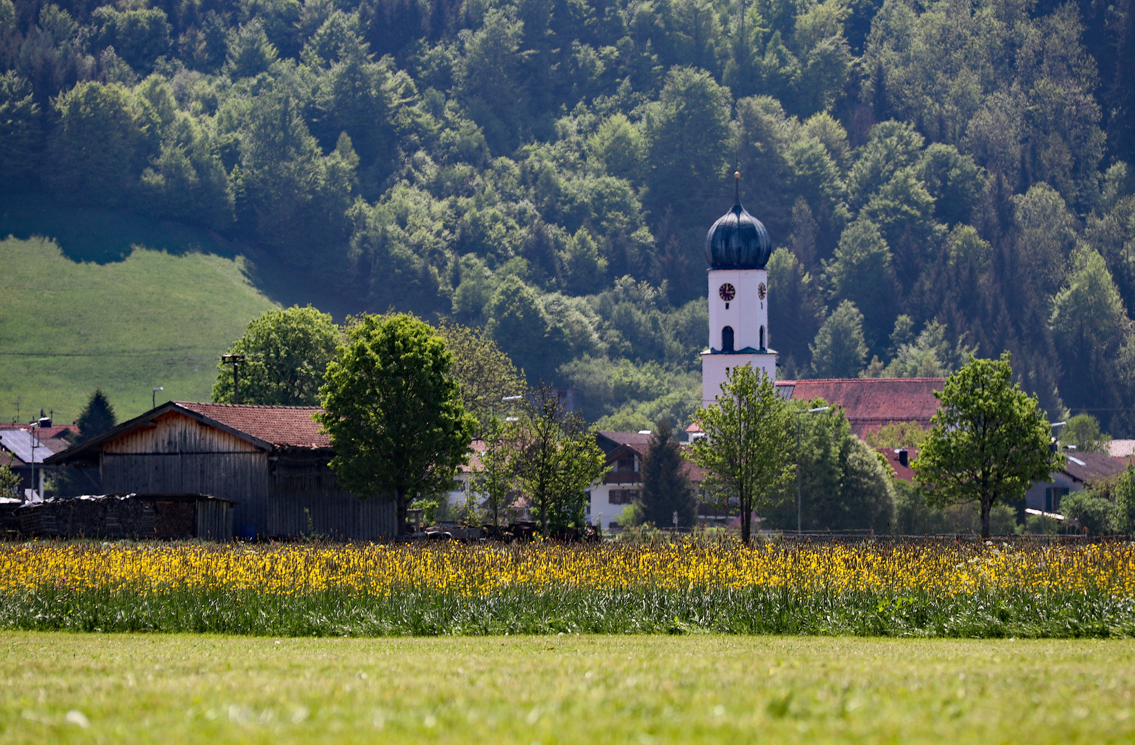 Der Blick über die Wiesen