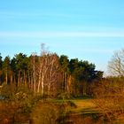 Der Blick vm Balkon