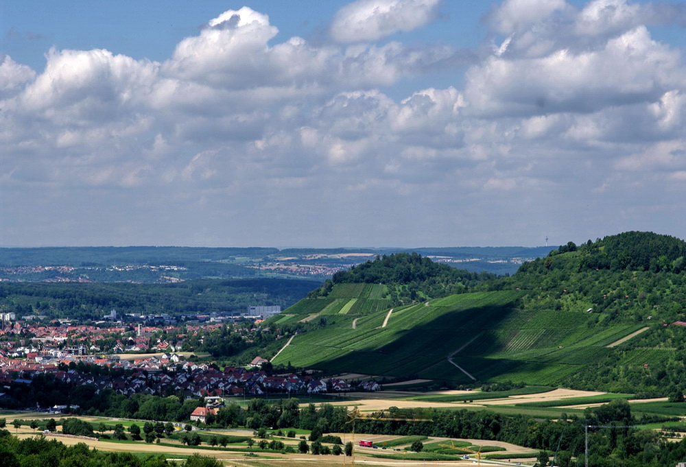 Der Blick vom Calverbühl