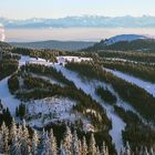 der blick vom feldberg