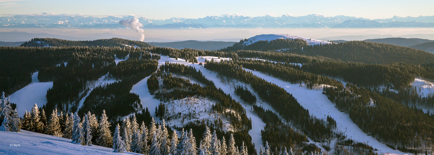 der blick vom feldberg