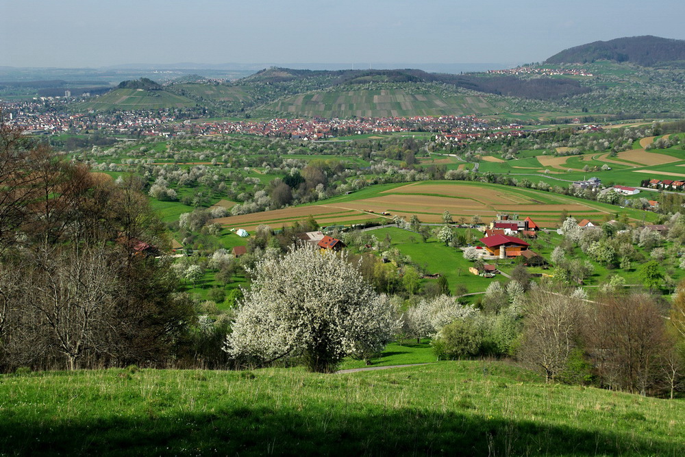 Der Blick vom Glemser Grasberg