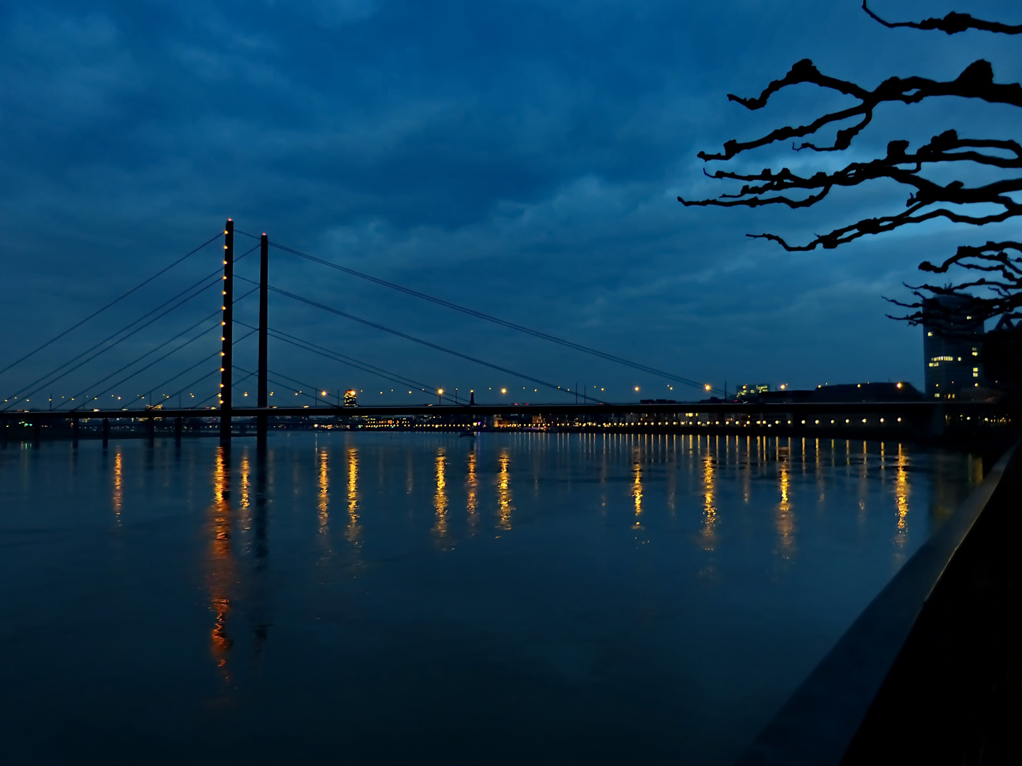 Der Blick vom Medienhafen zur Rheinkniebrücke