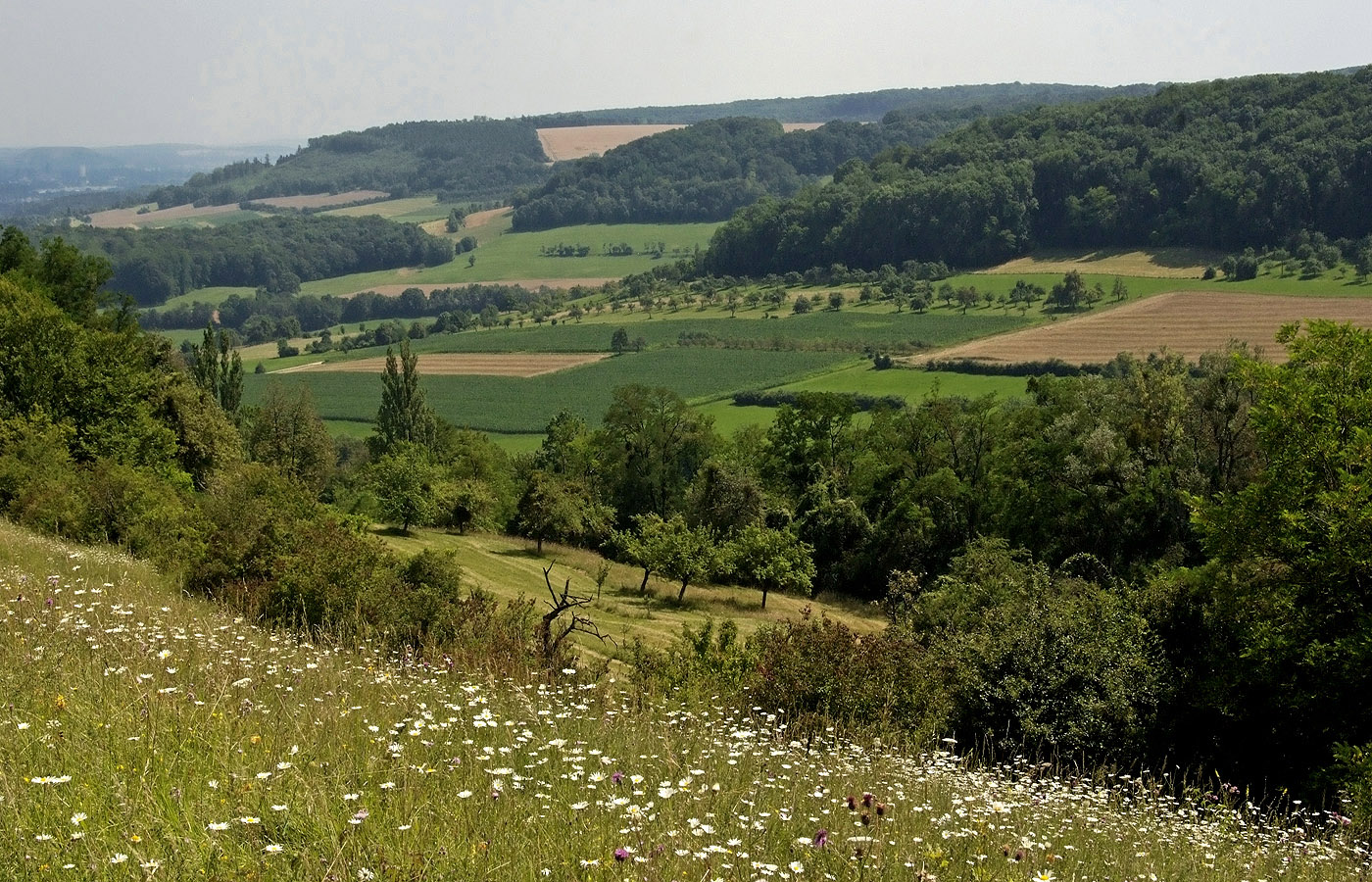 Der Blick vom Nackberg ...