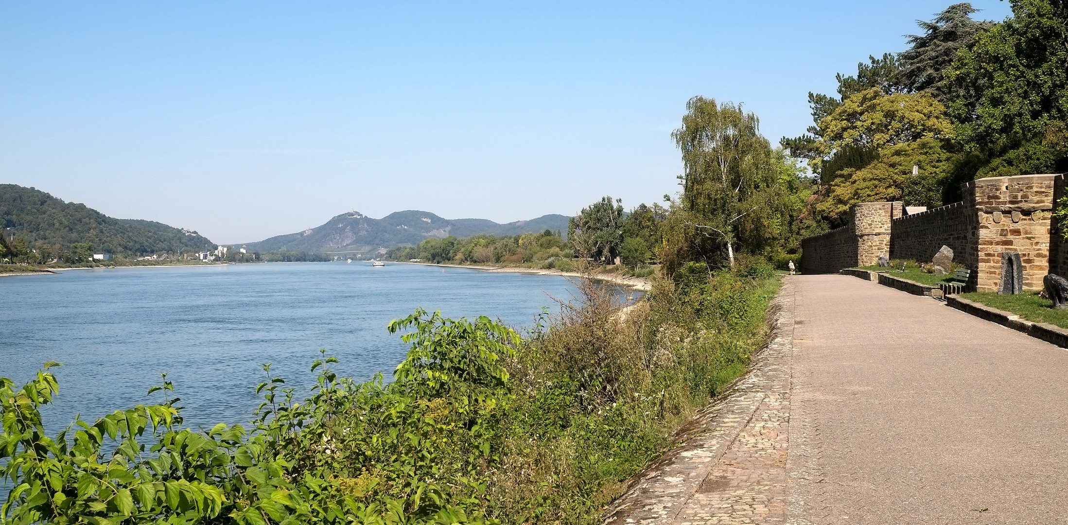 der Blick vom Rheinufer