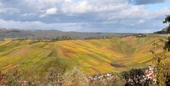 Der Blick vom Schurwald ins Remstal im Herbst